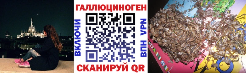 блэк спрут как зайти  Череповец  Галлюциногенные грибы Cubensis  цены наркотик 